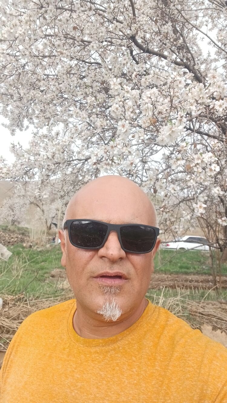  Bojnurd,   Siros, 46 ,   ,   