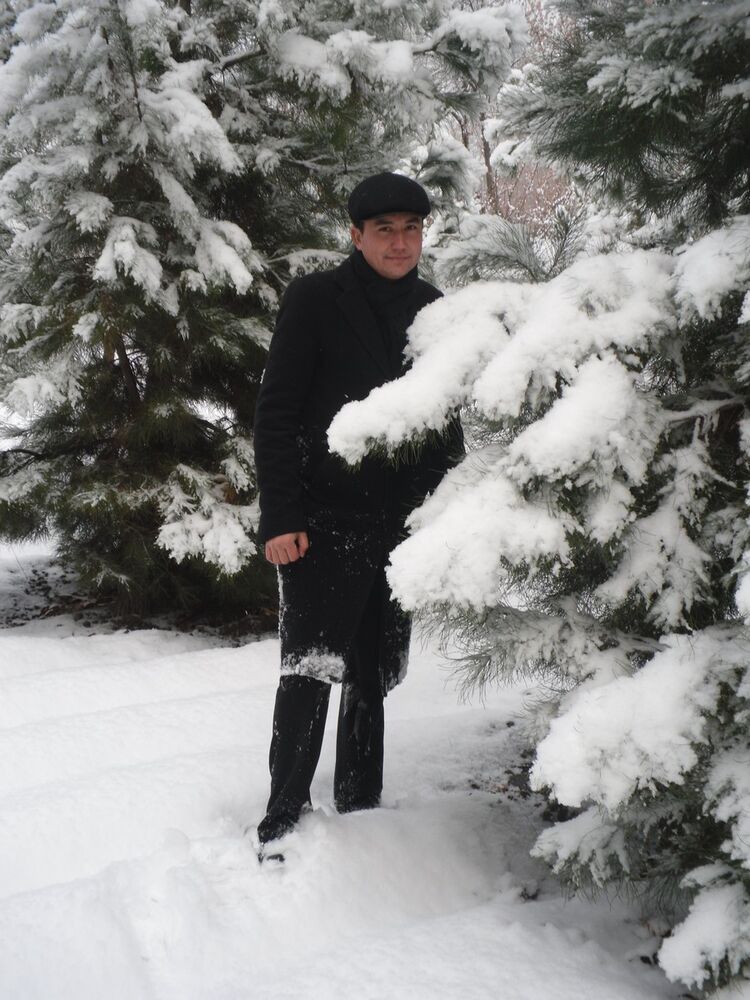  6895740  Daler, 38 ,    