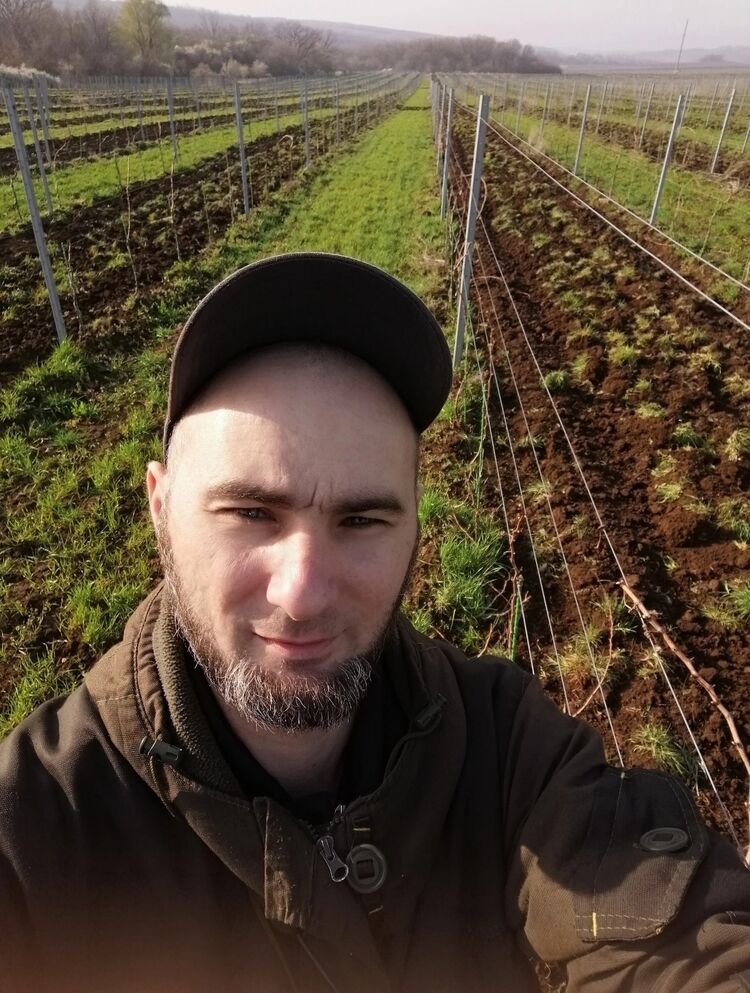  52542720  , 36 ,    --