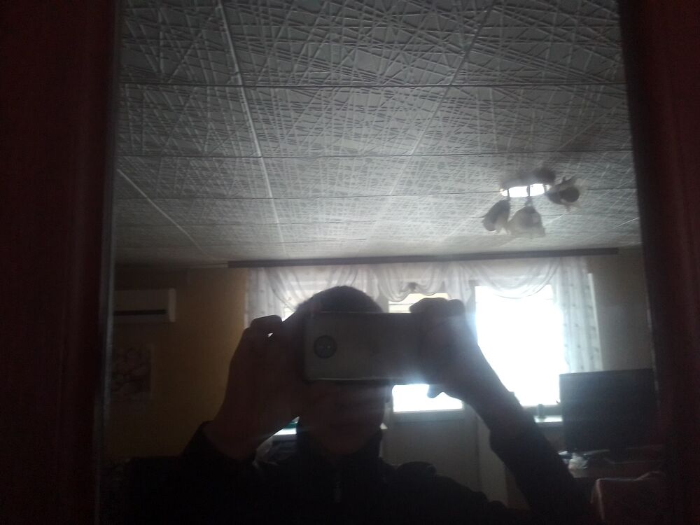 41194850  , 24 ,    