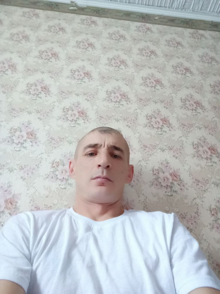  50097370  , 41 ,    
