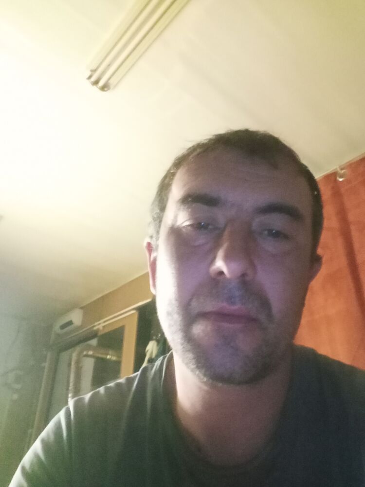  53080740  , 41 ,    