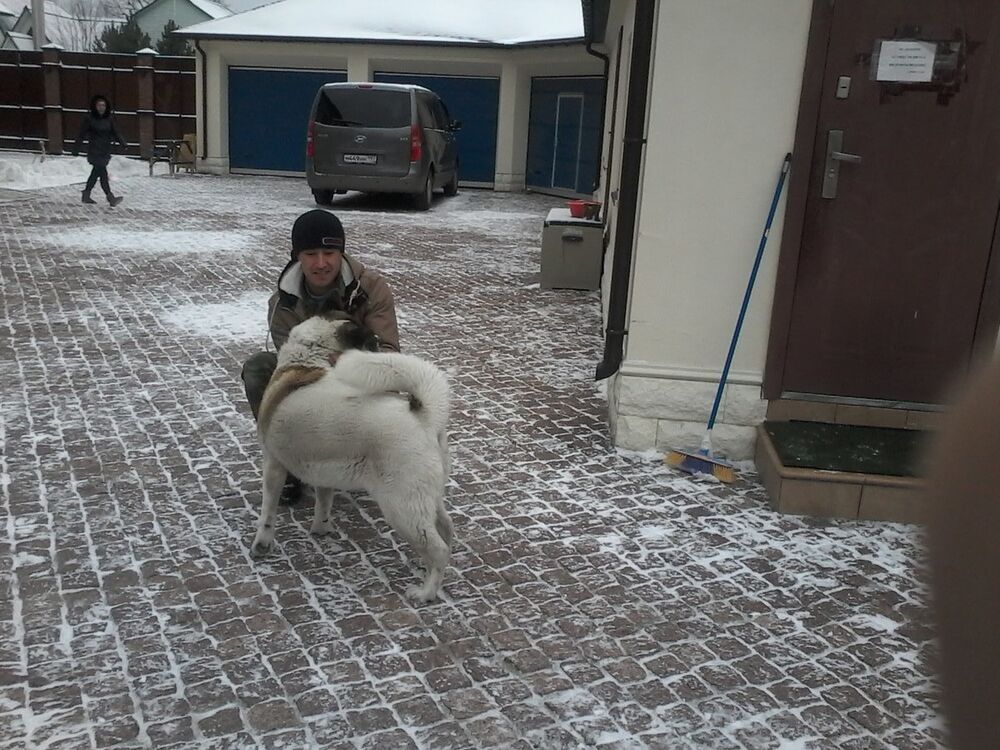  ,   Dima, 40 ,   , 