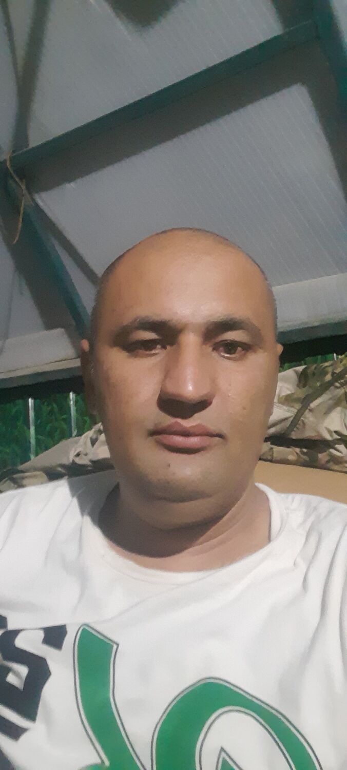  28302800  , 38 ,    