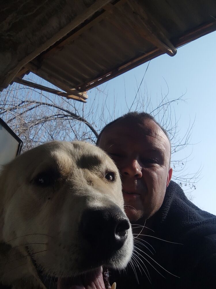 ���������� �������, ���� ������� ������, 44 ����, ������������ ��� ����� � ���������, c�������� ���������