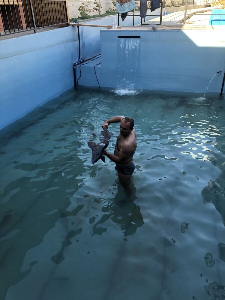  21884320  , 39 ,    