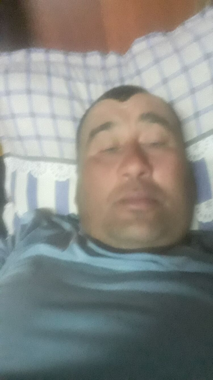  33451090  , 46 ,    