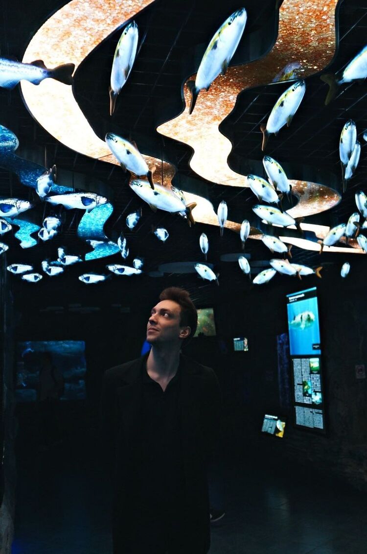 ���������� �����������, ���� ������� ����������, 30 ���, ������������ 