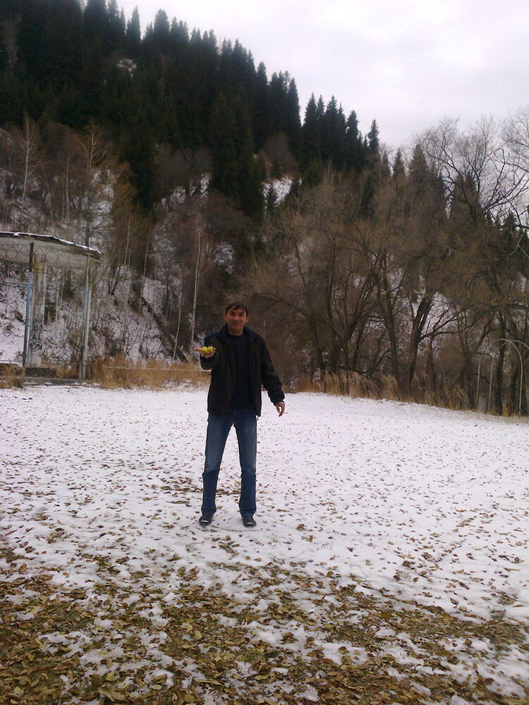 ���� 5313980 ������� ����, 38 ���, ���� ���������� � ������