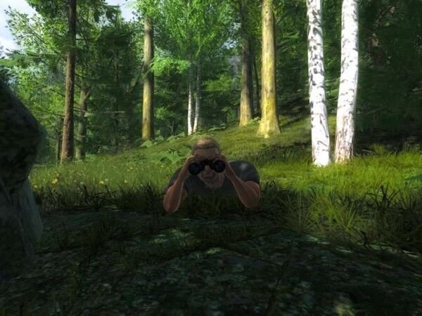 ���������� ��������, ���� ������� ������, 41 ���, ������������ ��� ������, ���������