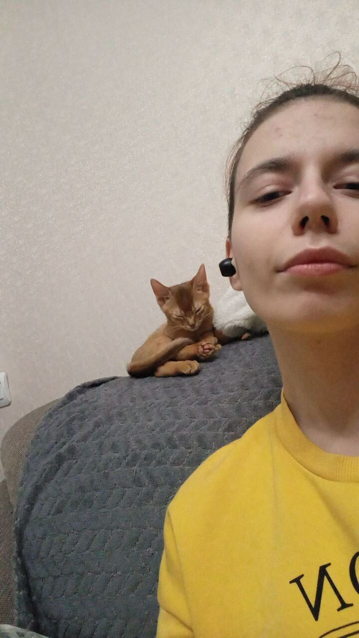 ���� 33386940 ������� ��������, 21 ���, ���� ���������� � ������