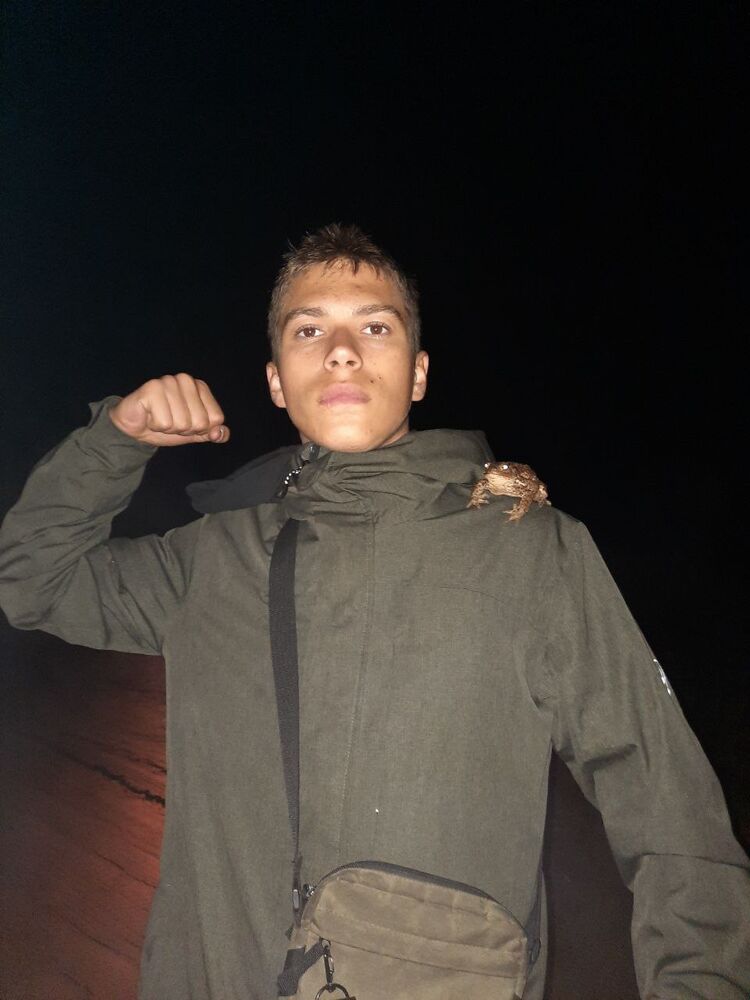  28900450  , 21 ,    -