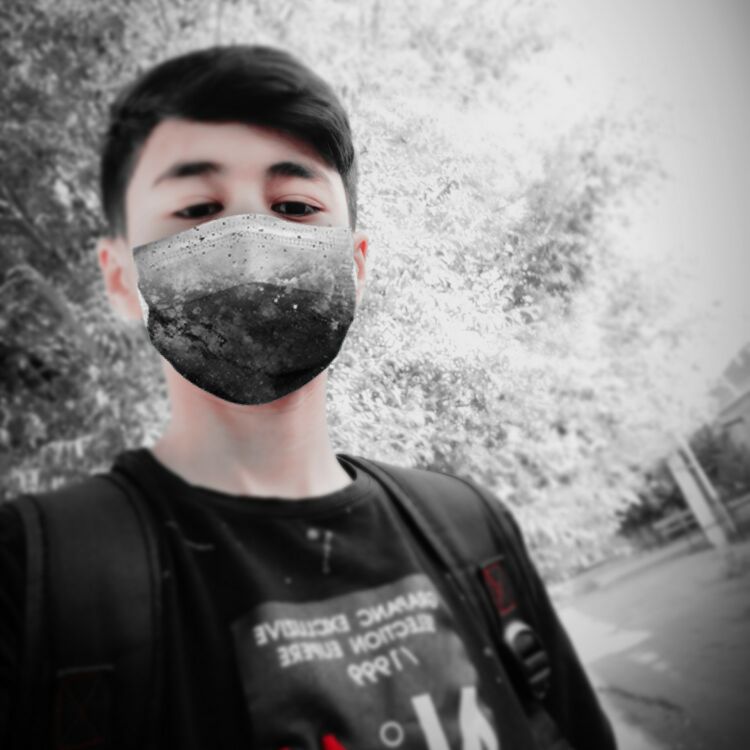 ���� 24954840 ����� ������, 23 ����, ���� ���������� � �������