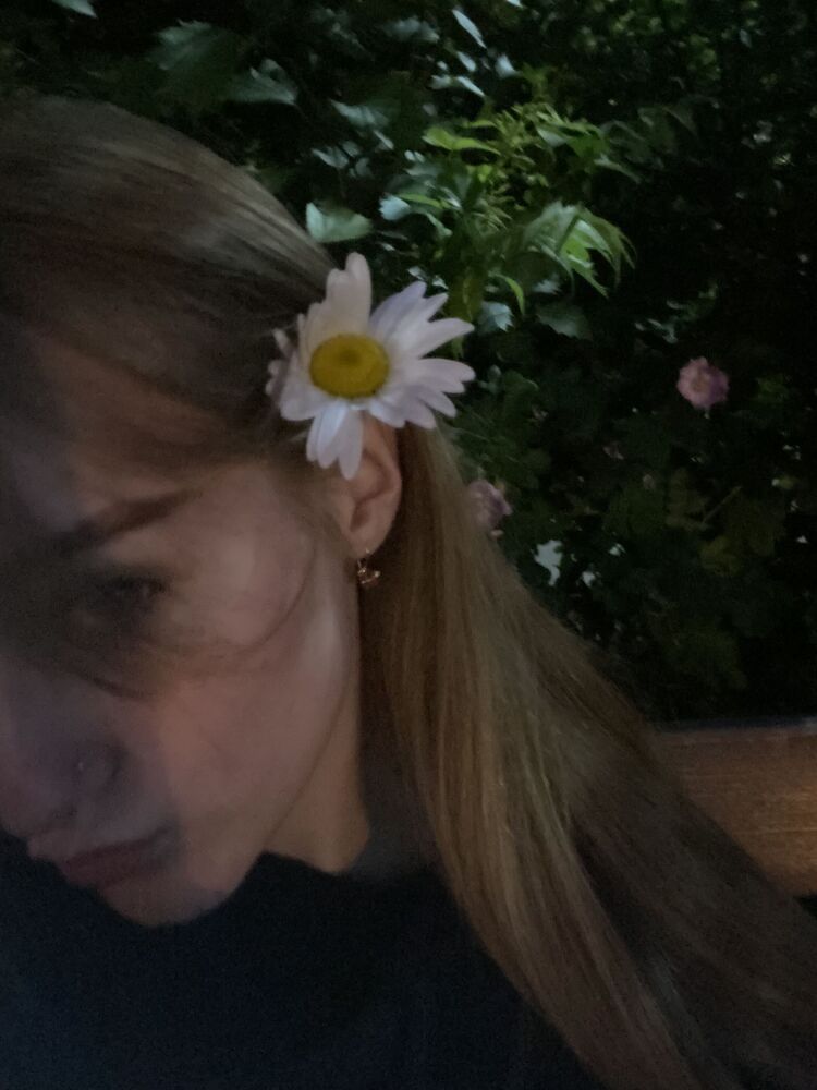 ���������� ������, ���� ������� �����, 20 ���, ������������ ��� ������, ���������