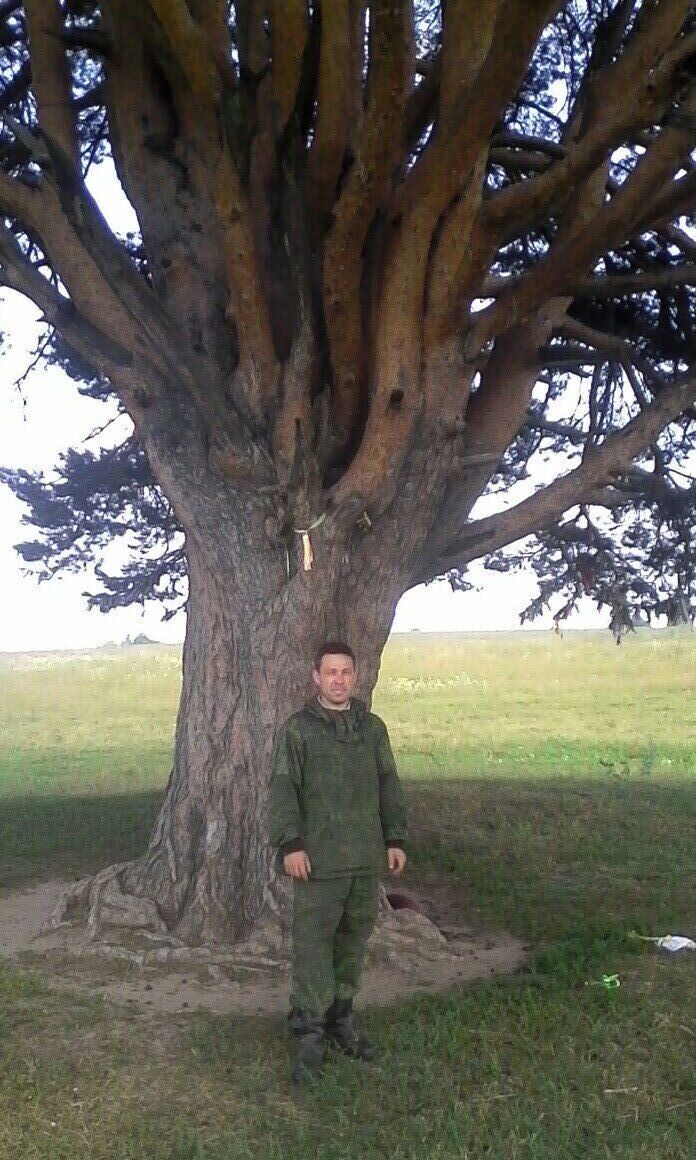 ���������� ������, ���� ������� �������, 45 ���, ������������ ��� ������, ����� � ���������, c�������� ���������