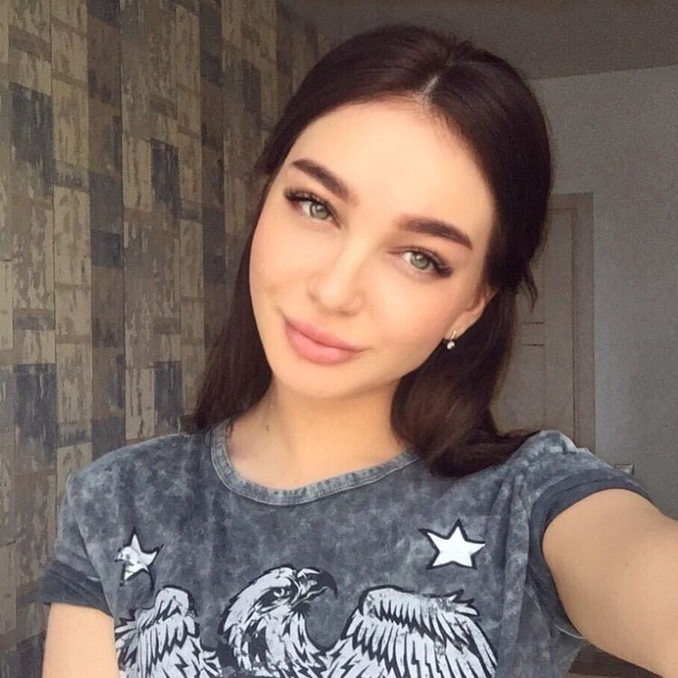  24034460  , 24 ,    --