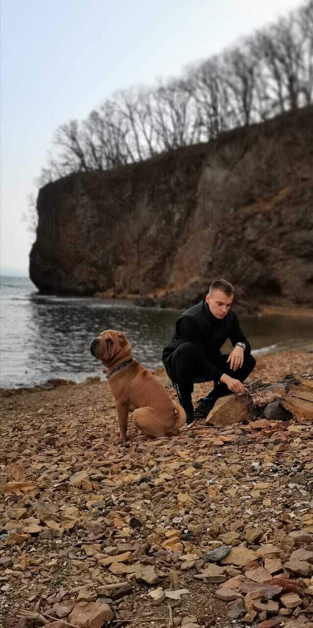 ���� 26408640 ������� �������, 28 ���, ���� ���������� � ������������