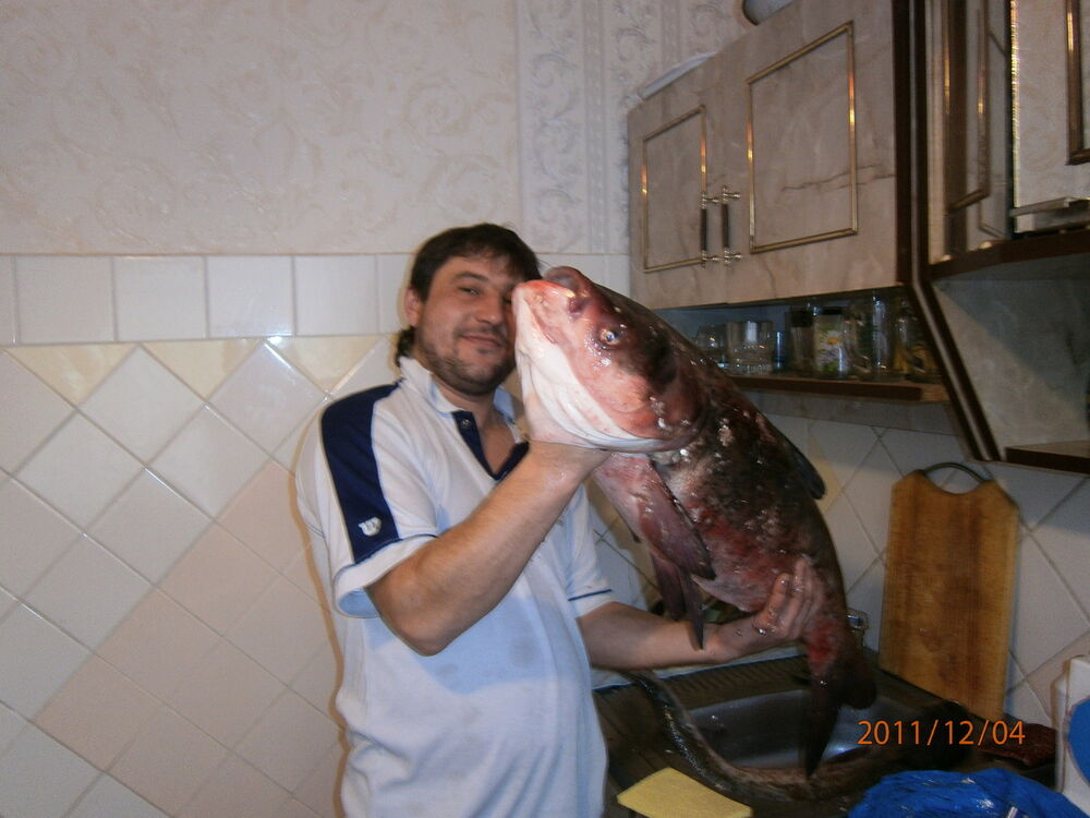  ,   Vova, 47 ,   ,   , c , 