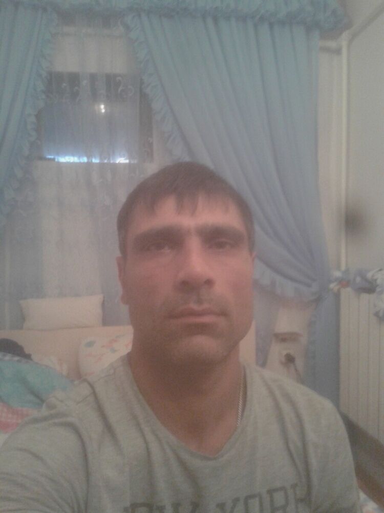 ,   Elman, 40 ,   ,   , c 