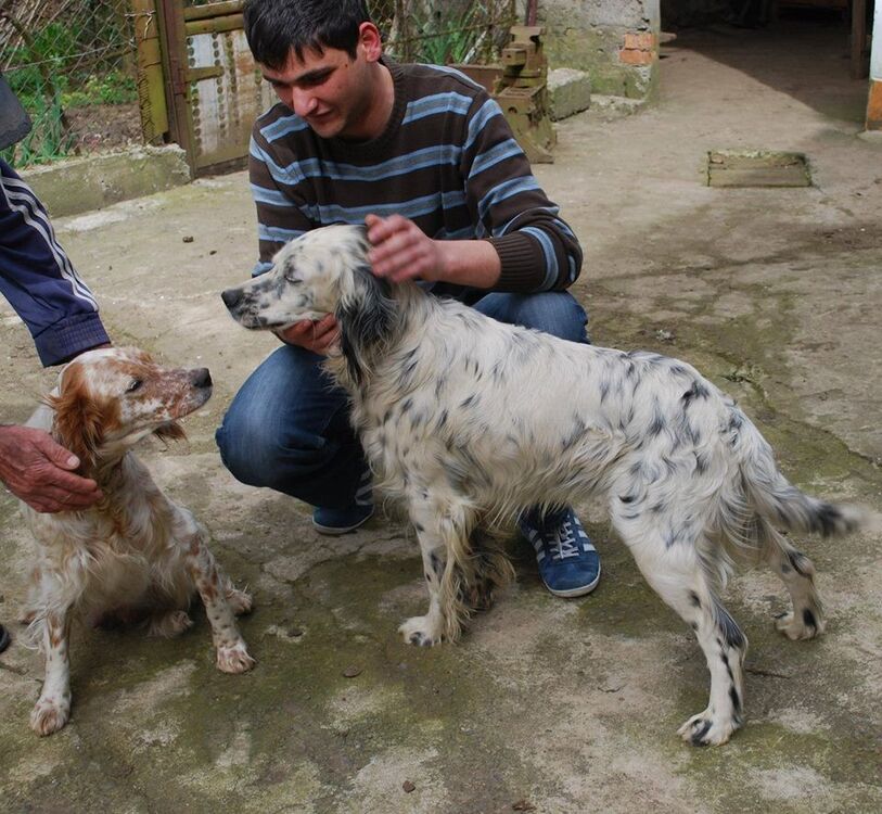 ���������� ������, ���� ������� Luka, 33 ����, ������������ ��� ������