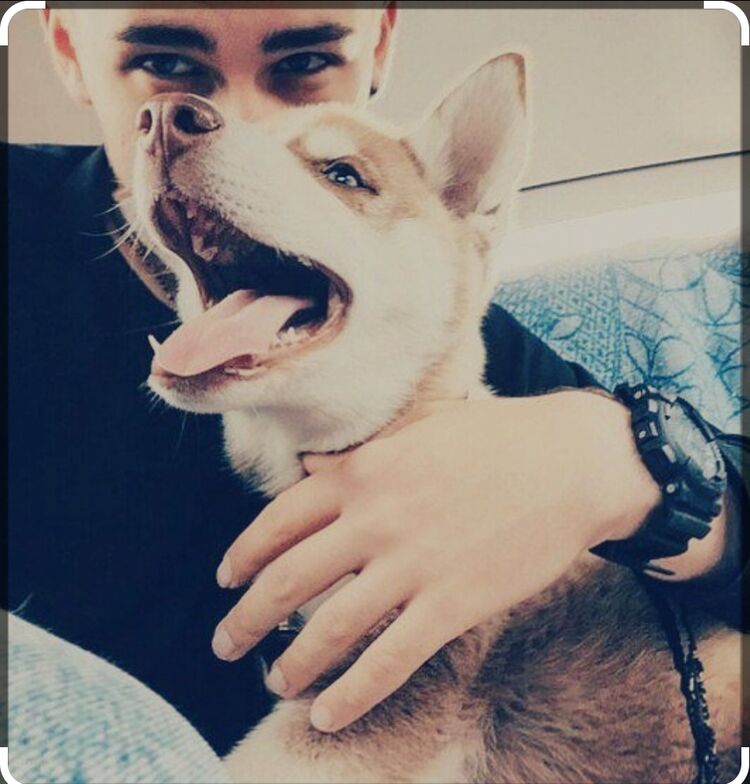 ���������� ������, ���� ������� Shon, 26 ���, ������������ ��� ������, ����� � ���������