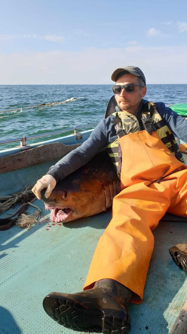 ���� 25319820 ������� �����, 38 ���, ���� ���������� � ����