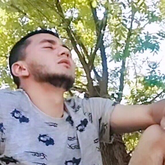 ���� 43397300 ����� �����, 25 ���, ���� ���������� � ��������