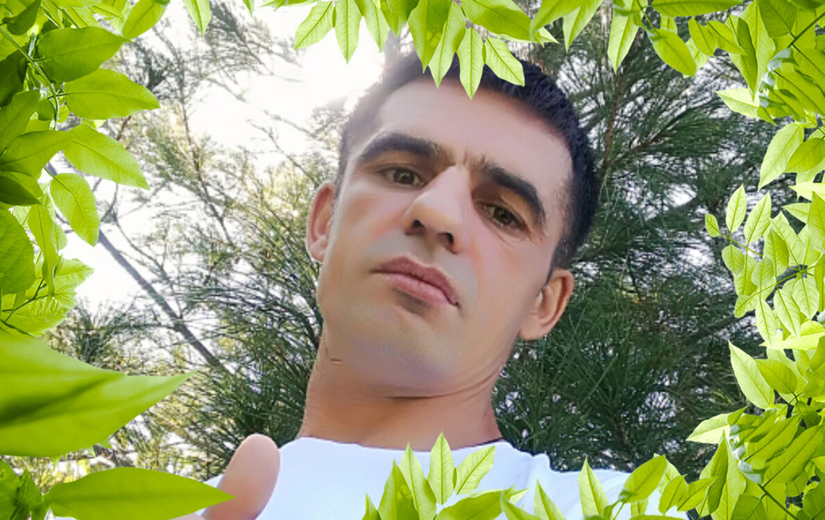 ���� 11336620 ������� ����, 43 ����, ���� ���������� � ��������