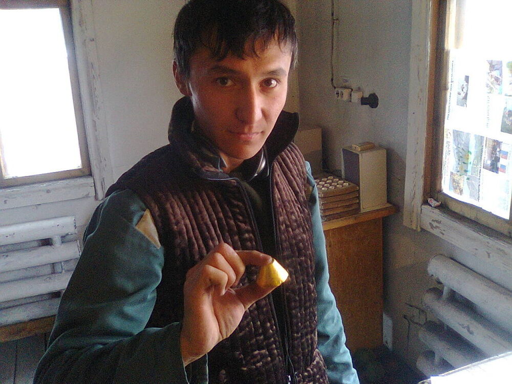 ���� 5344670 ������� Gold, 36 ���, ���� ���������� � ������