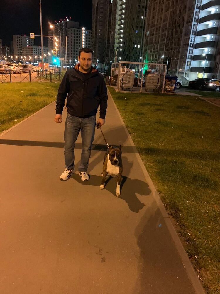 ���� 23181840 ������� ����, 40 ���, ���� ���������� � ������