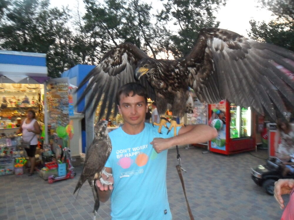 ���� 5515800 ������� ������, 35 ���, ���� ���������� � �����