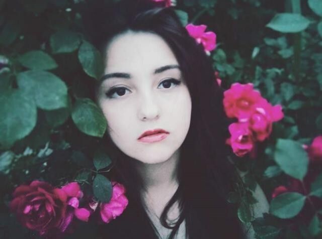  ,   , 26 ,  