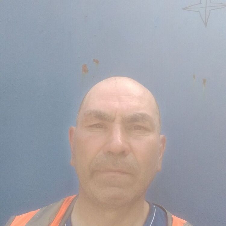  43957860  , 51 ,    -