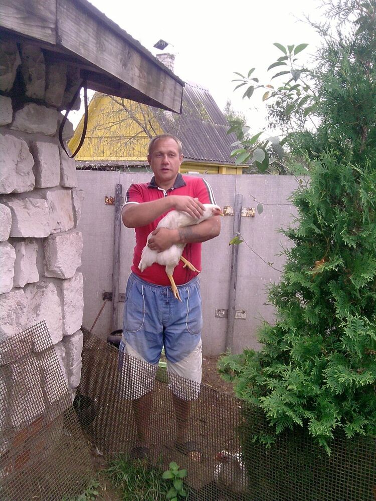  23357580  , 53 ,    