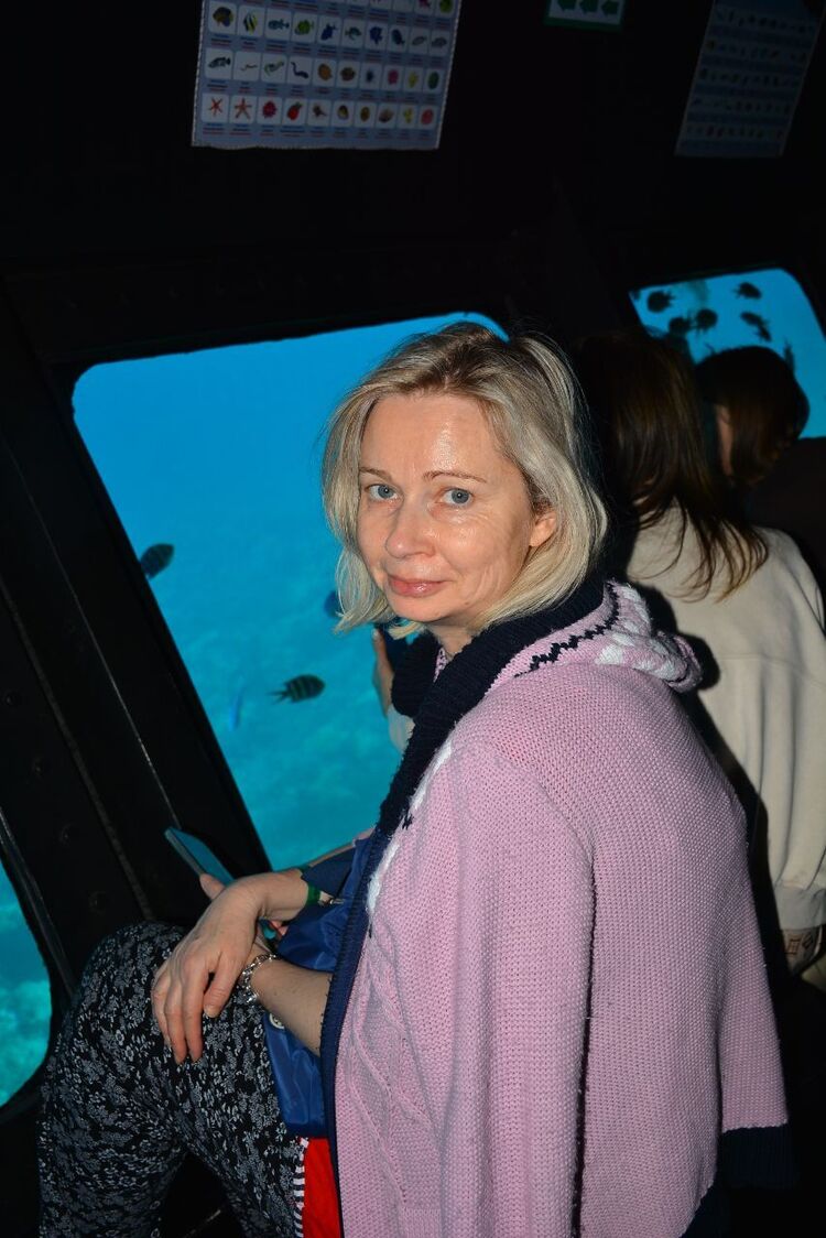 ���� 55295630 ������� �����, 55 ���, ���� ���������� � ����������