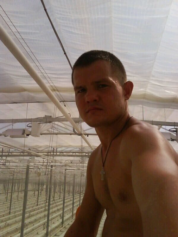  40192660  , 33 ,    