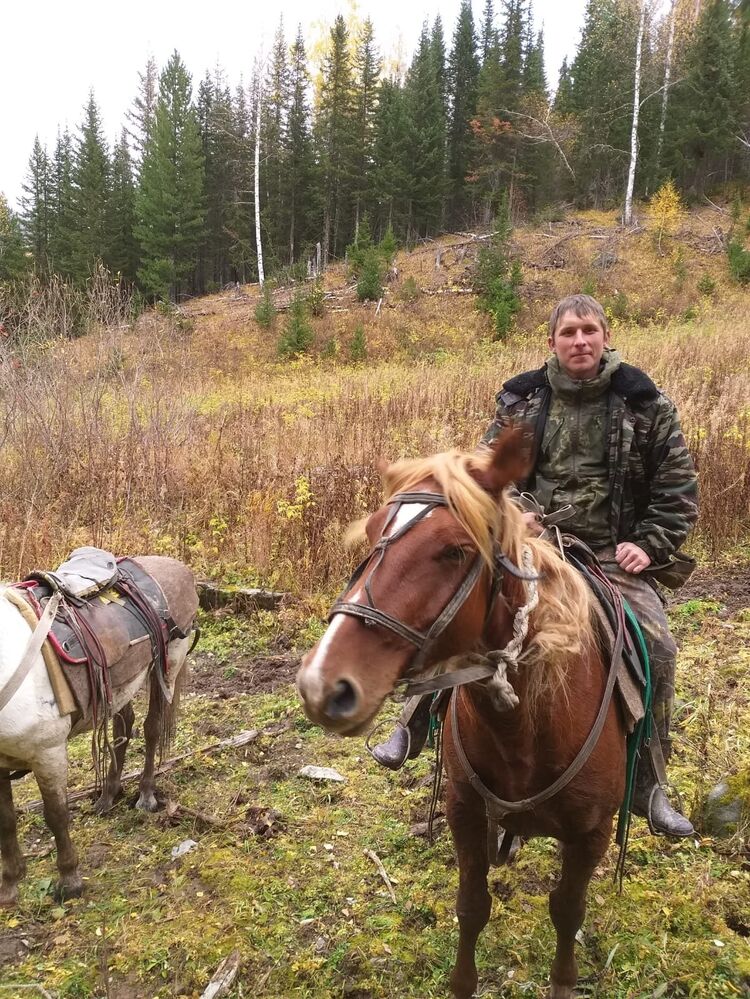 ���������� ������, ���� ������� ��������, 37 ���, ������������ ��� c�������� ���������, ���������