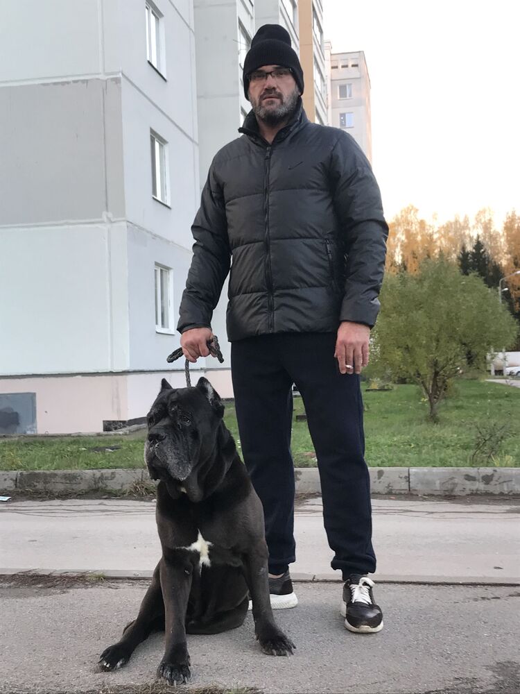 ���������� �����, ���� ������� ����, 44 ����, ������������ ��� ������, ����� � ���������, c�������� ���������, ���������