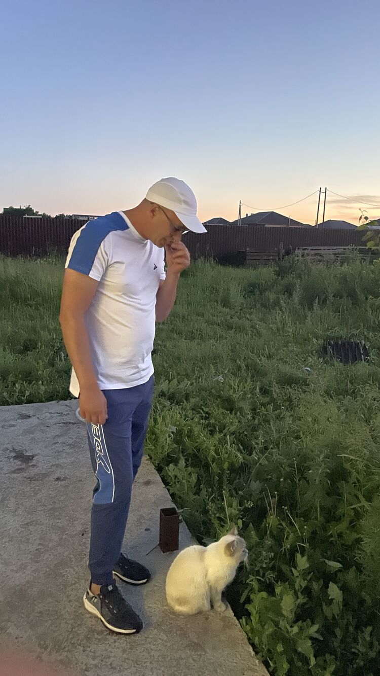   ,   , 31 ,  