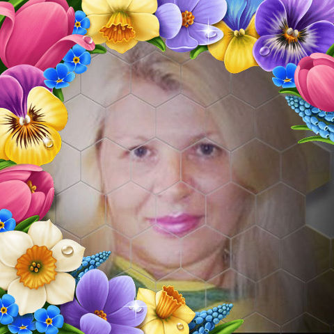 ���� 25311750 ������� ��������, 45 ���, ���� ���������� � ����