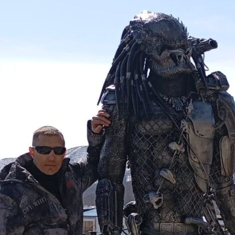  53153800  , 41 ,    -