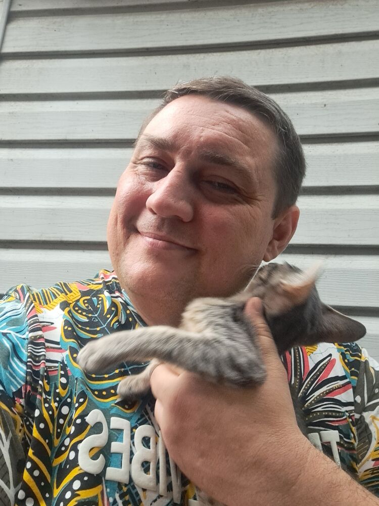  54152650  , 44 ,    --