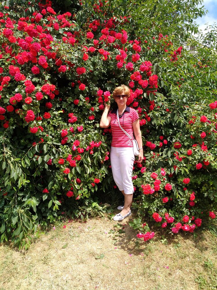 ���� 52860540 ������� ����, 67 ���, ���� ���������� � �����������