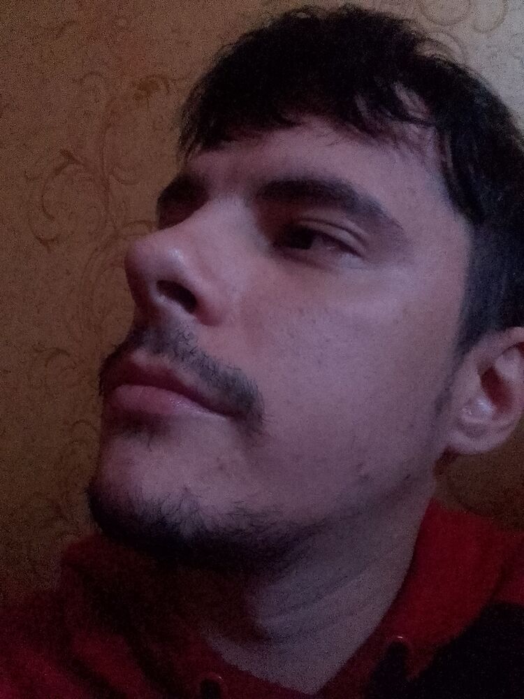 ���� 29066350 ������� ����, 31 ���, ���� ���������� � ������