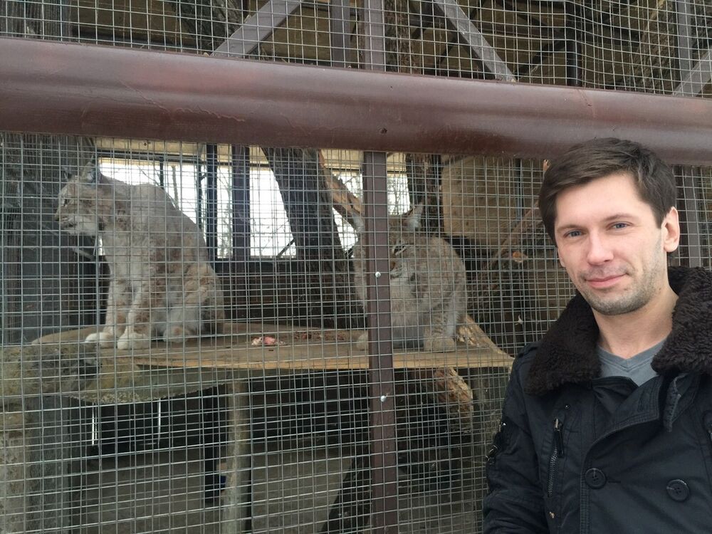 ���������� ������, ���� ������� �����, 45 ���, ������������ ��� ������, ����� � ���������, c�������� ���������