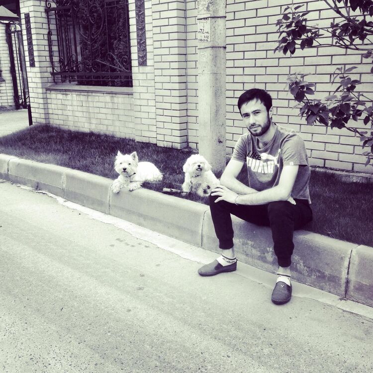 ���� 49417340 ������� RAMIZ, 35 ���, ���� ���������� � ������