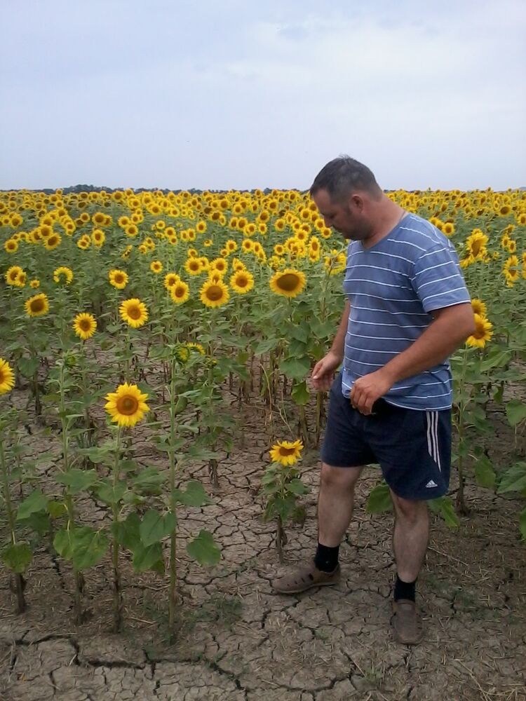   ,   , 41 ,   