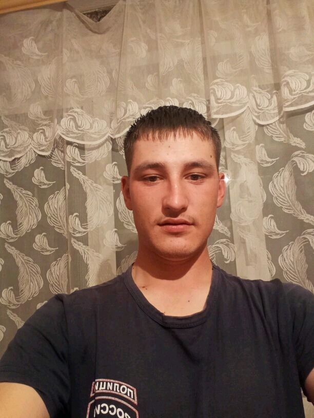  29137960  , 24 ,    