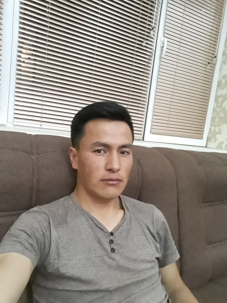  16547660  , 33 ,    