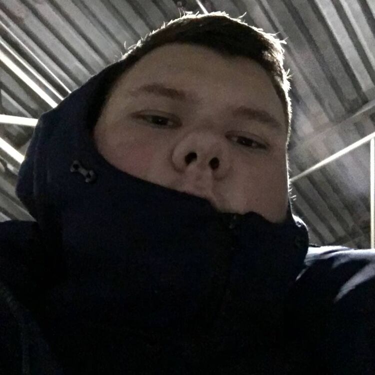  29729200  , 21 ,    